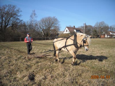 Myckle och Lars-Gran 